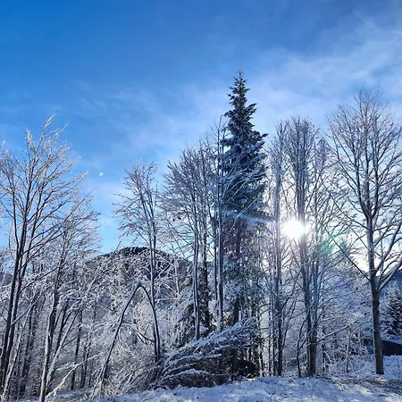 Gorska Idila - Kuca Za Odmor Breza *